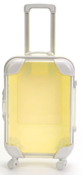 Balm Travel Case Bundle (Self-Pick)